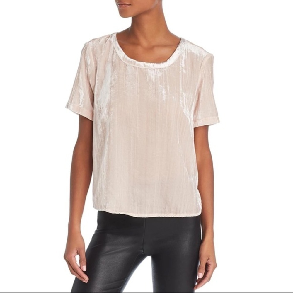 𝅺splendid Crushed Velvet Pink Beige Blouse